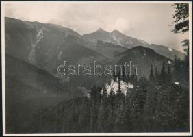 cca 1910 Magas-Tátra, kilátás a Tokornyáról, Erdélyi Mór felvétele, hátulján feliratozva, 11,5×16 cm /  cca 1910 Vysoké Tatry, the view from the Tokornya, vintage photo, with notes on its back, 11,5×16 cm