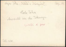 cca 1910 Magas-Tátra, kilátás a Tokornyáról, Erdélyi Mór felvétele, hátulján feliratozva, 11,5×16 cm...