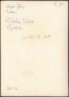 cca 1910 Magas-Tátra, a Spara-hágó, Erdélyi Mór felvétele, hátulján feliratozva, 11,5×16 cm /

cca...