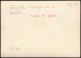 cca 1910 Székelyföld, Bálványos vára a kocsiútról, Erdélyi Mór felvétele, hátulján feliratozva, 11,5...