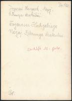 cca 1910 Fogarasi-havasok, Negoj, Erdélyi Mór felvétele, hátulján feliratozva, 11,5×16 cm /

cca 1...