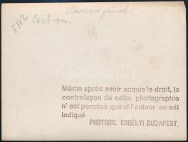cca 1910 Tusnádfürdő, Erdélyi Mór felvétele, hátulján feliratozva, pecséttel jelzett, 11,5×16 cm /
...