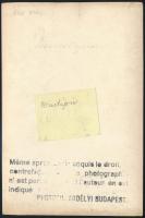 cca 1910 Németújvár, Erdélyi Mór felvétele, hátulján feliratozva, pecséttel jelzett, 11,5×16 cm /

...