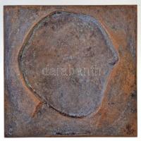 Reményi József (1877-1977) 1921. "Gaal M. Nándor" Br plakett (173g/98x98mm) T:2 / 
Hungar...