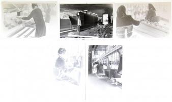 cca 1960-1965 Kecskemét, Baromfi Feldolgozó Vállalat (BARNEVÁL) munkájáról készült, cca 99 db vintage negatív, Medgyesi László (?-?) kecskeméti fotóművész hagyatékából, 6x9 cm