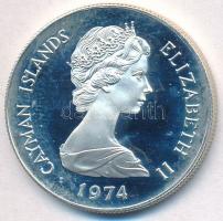 Kajmán-szigetek 1974. 50c Ag "Karibi császárhal" T:1(PP)
Cayman Islands 1974. 50 Cents Ag...