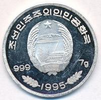Észak-Korea 1995. 100W Ag "Aix Galericulata" T:1-(PP)
North Korea 1995. 100 Won Ag "...