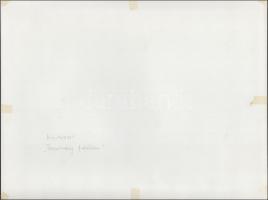 cca 1980 Akt fotók, 2 db vintage fénykép, egyik feliratozva, 40x30 cm