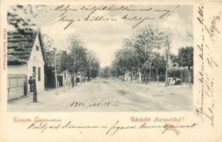 Dunaharaszti, Kossuth Lajos utca. Divald Károly kiadása (EK)