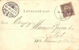 Dunaharaszti, Kossuth Lajos utca. Divald Károly kiadása (EK)