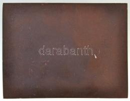 Mészáros Andor (1900-1972) 1967. Egyoldalas bronz plakett, családi jelenet (425g/98x75mm) T:1-,2 / 
...