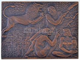 Mészáros Andor (1900-1972) 1969. Oroszlán egyoldalas bronz plakett (238g/99x75mm) T:1-,2 hátoldalán ü. /  Hungary 1969. Lion one sided Br plaque. Sign.: Andor Mészáros (238g/99x75mm) C:AU,XF ding on reverse