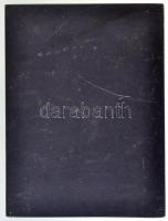 Mészáros Andor (1900-1972) 1969. "Oroszlán" egyoldalas bronz plakett (238g/99x75mm) T:1-,2...