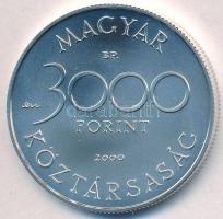 2000. 3000Ft Ag "Veszélyeztetett állatvilág - hód" T:BU Adamo EM165