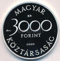 2000. 3000Ft Ag "Veszélyeztetett állatvilág - hód" T:PP
Adamo EM165