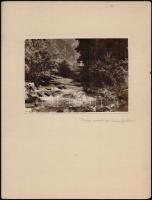 cca 1930 Thöresz Dezső (1902-1963) békéscsabai fotóművész hagyatékából 4 db feliratozott, vintage al...