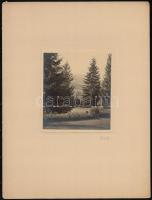 cca 1930 Thöresz Dezső (1902-1963) békéscsabai fotóművész hagyatékából 4 db feliratozott, vintage al...