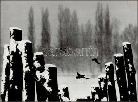 cca 1969 Gebhardt György (1910-1993) budapesti fotóművész hagyatékából 2 db feliratozott, vintage fo...