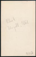 1861 Viktória angol kiárlynőt ábrázoló, vizitkártya méretű fotó / 1861 Victoria, Queen of England. M...