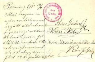 Pozsony, Pressburg, Bratislava; Vashonvéd / WWI Austro-Hungarian military statue