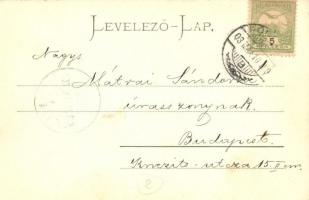 Pöstyén, Pistyan, Piestany; Park Villa, infanterista / villa, infanterist