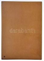 Imrey Lajos (1879-19??) DN "Jobbra néző férfi mellképe" Br plakett, tokban, hátoldalán gyá...