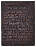 Csúcs Ferenc (1905-1999) 1988. "Szentgyörgyi István 1881-1938" Br plakett (500g/76x99mm) T...