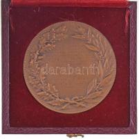 Franciaország 1910. "A szakmai szövetség első évfordulója 1910. - F. Nicolai" Br emlékérem...