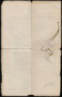 1932 Sopron, leánygimnáziumi érettségi bizonyítvány és latin nyelvű fordítása, szárazpecséttel, okmá...