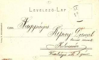 Beszterce, Bistritz, Bistrita; Kórház utca, gyógyszertár. F. Stolzenberg kiadása / Spitalgasse, Apot...