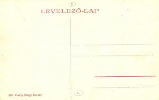 Csernátfalu, Cernatu (Négyfalu, Sacele); Drodtloff József gyógyszertára, Stingl Karolin üzlete és sa...