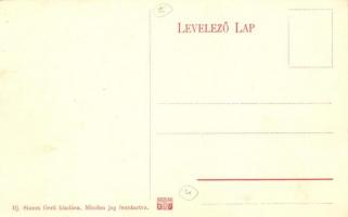 Csucsa, Ciucea; Gyógyszertár. Ifj. Simon Gerő kiadása / pharmacy (EK)