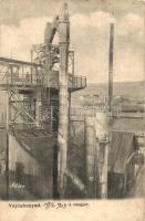 Vajdahunyad, Hunedoara; A vasgyár. Adler fényirda kiadása / iron works, factory (EK)