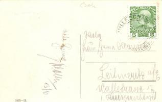 Milesov, Milleschau; Donnersberg, Meteorologische Höhenstation, Schloss Milesov / meteorological alt...