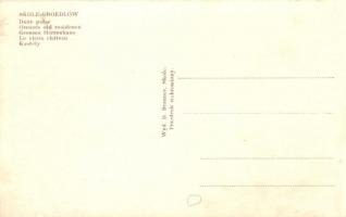 Skole-Groedlow,  Duzy palac / Groedl castle, owners old residence / Grosses Herrenhaus