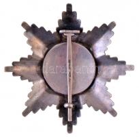 Bulgária ~1920. "Szent Sándor-rend II. osztályának csillaga" zománcozott és jelzett Ag csi...