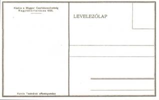 Cserkész és a szúnyog. Kiadja a Magyar Cserkészszövetség Nagytábortanácsa, 1926. Korvin Testvérek / ...