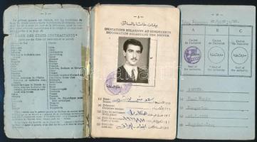 2 db nemzetközi jogosítvány / international driver's licence