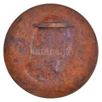 Németország(?) DN "O. Foerster" Otfrid Foerster, német ideggyógyász portréját ábrázoló Br ...