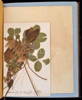 cca 1870 Dombornyomott egészbőr kötéses emlékkönyv. Teljesen kitöltetlenül, benne néhány az 1870-189...