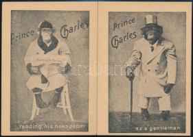 cca 1910 Beketow cirkusz 4 db reklámkátya majmokkal / Circus advertising 8x11 cm