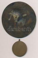 DN Tálkát tartó nőt ábrázoló fém plakett. Szign.: TV(?) (81mm) + 1965. "Árvízvédelemért Érem&qu...
