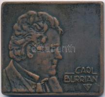 Csehország DN Carl Burrian operett énekest ábrázoló Br emlékérem. Sign.:FP(?) (38x41,5mm) T:2 Czech Republic ND Carl Burrian Br commemorative medal depicting the operatic tenor Carl Burrian. Sign.:FP(?)  (38x41,5mm) C:XF