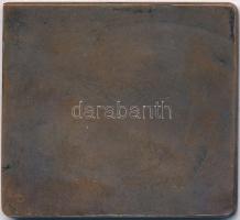 Csehország DN "Carl Burrian" operett énekest ábrázoló Br emlékérem. Sign.:FP(?) (38x41,5mm...