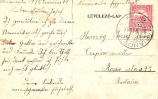 Budaörs, Pauli Szent Vincéről nevezett irgalmas nővérek intézete