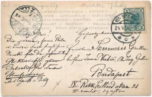 1906 Richter János / Hans Richter (1843-1916) osztrák-magyar karmestert ábrázoló, saját kézzel megír...