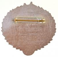 NDK ~1960-1970. Zománcozott hajós jelvény, hajógépész(?) T:1-
GDR ~1960-1970. Enamelled ships theme...