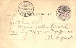 1899 Sopron, Oedenburg; Lóversenytér, Kaszinó / Wettrennplatz, Casino