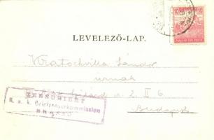 Kézdivásárhely, Targu Secuiesc; Fő tér, piac, Dávid Gyula üzlete / main square with market, shops