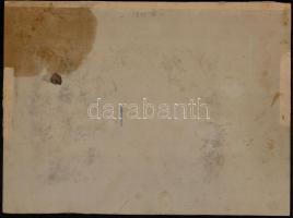 1898 Lukanénye (Felvidék), a Luka kastély előtt készült fotó, báró Majthényi László főispán névnapjá...